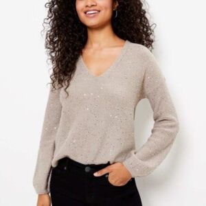 LOFT Sequin Double V Long Sleeve Sweater